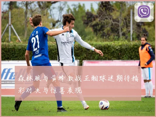 森林狼与黄蜂激战正酣球迷期待精彩对决与惊喜表现