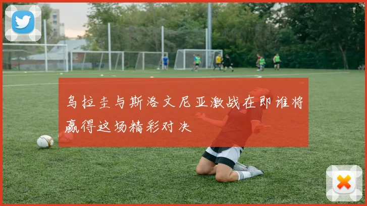 乌拉圭与斯洛文尼亚激战在即谁将赢得这场精彩对决