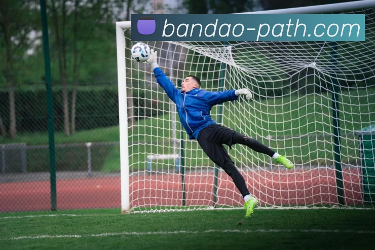 半岛体育品牌故事