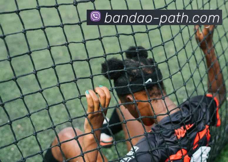 半岛体育服务体系